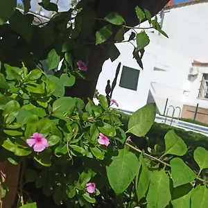 Сasa de vacaciones Casa Turquesa, Valencina de la Concepción